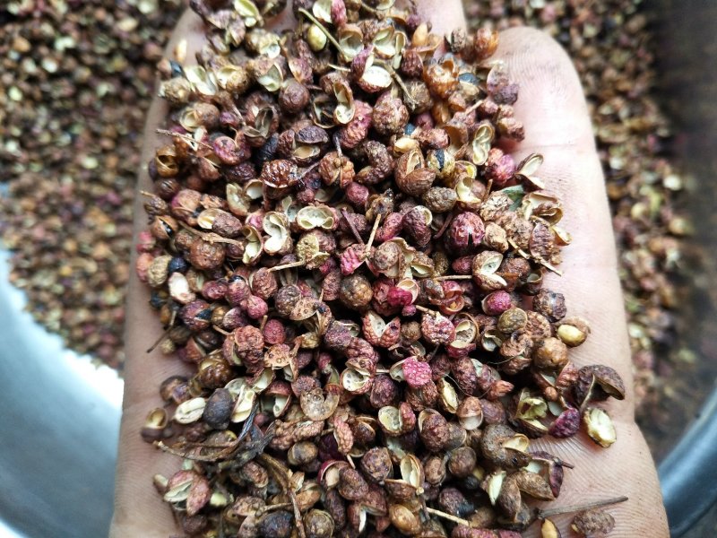 大红袍花椒颜色好开口率好有需要的联系我哦