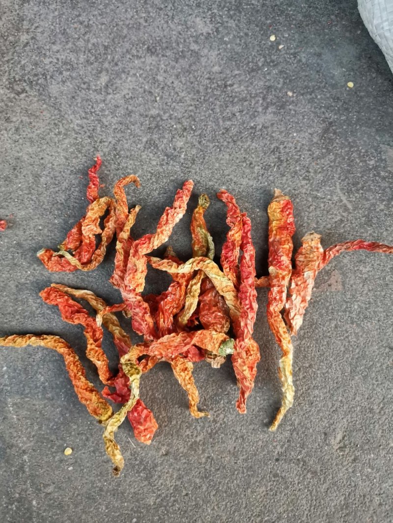 新疆干线椒！自然风干！小名二黄！货源充足，全国发货！
