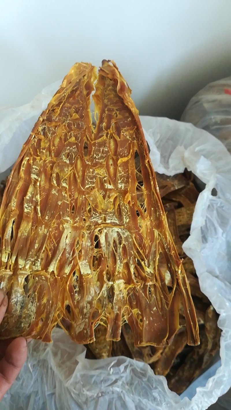 干笋