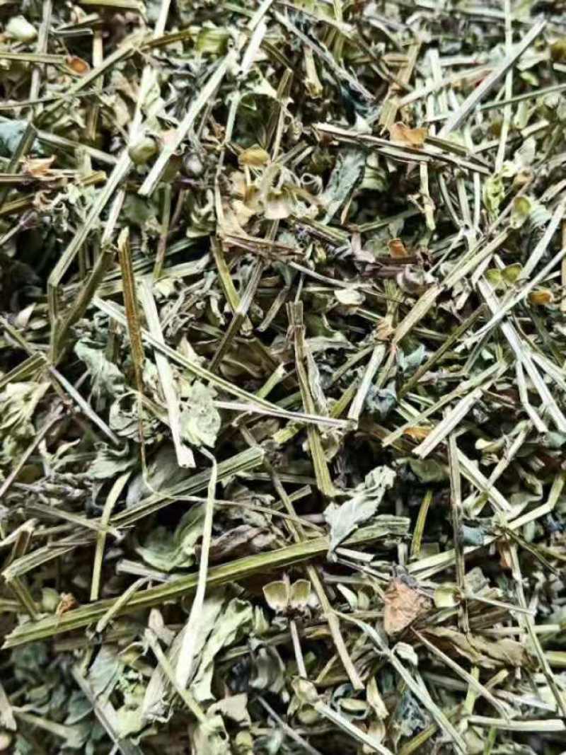 半枝莲【包邮】三斤起发货可批量可零售量大从优