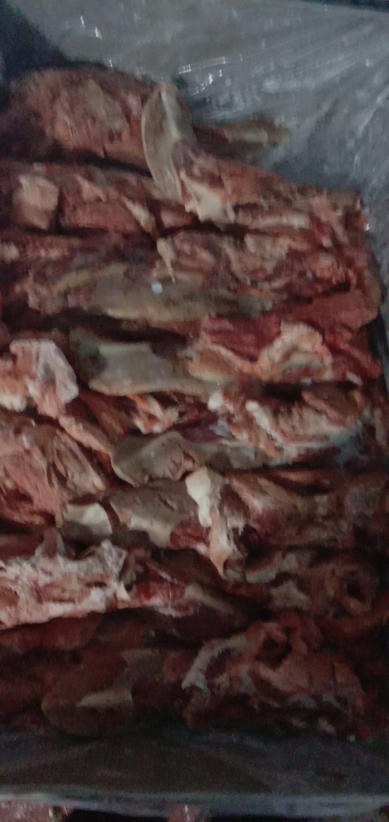 猪头口条