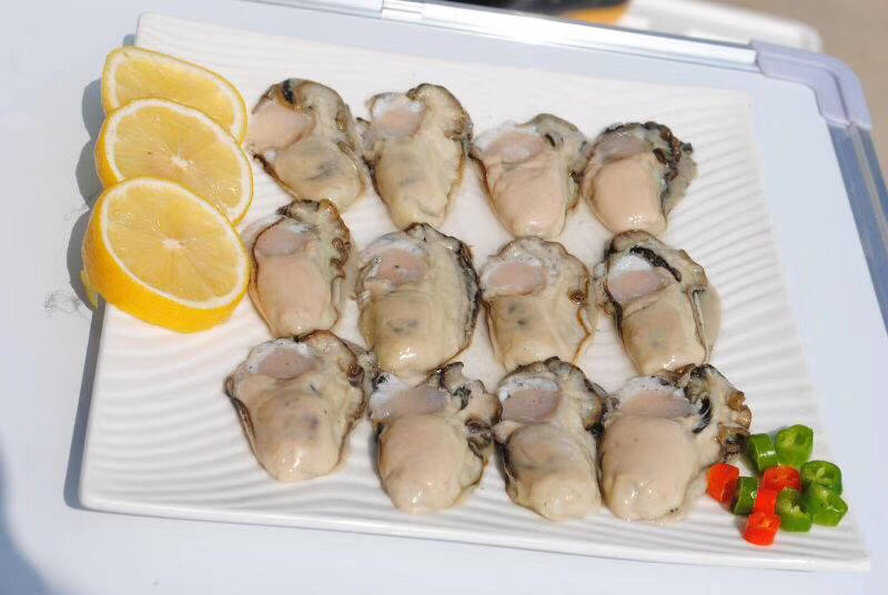 乳山生蚝肉原浆不加水