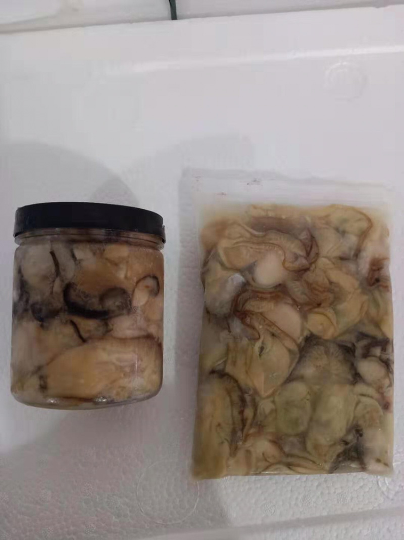 乳山生蚝肉原浆不加水