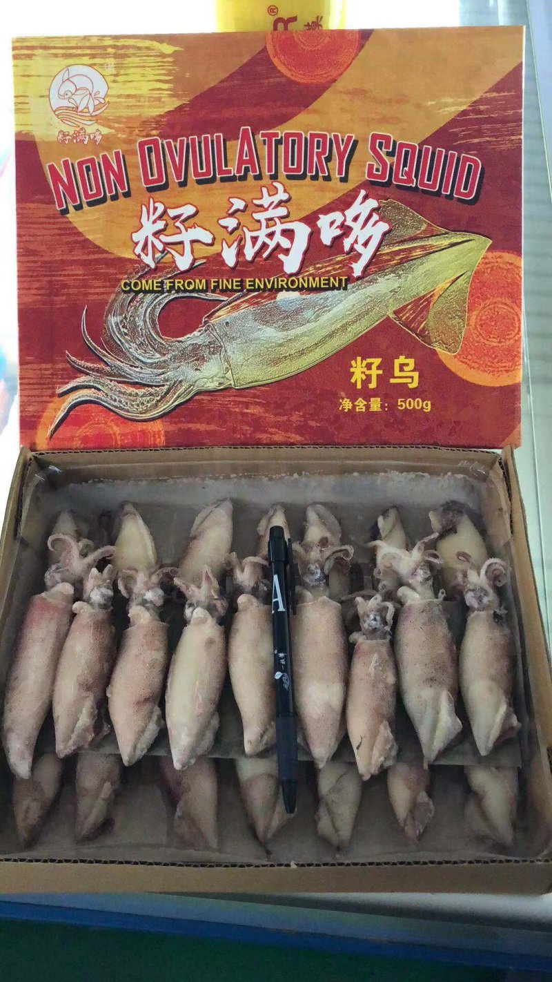 籽乌