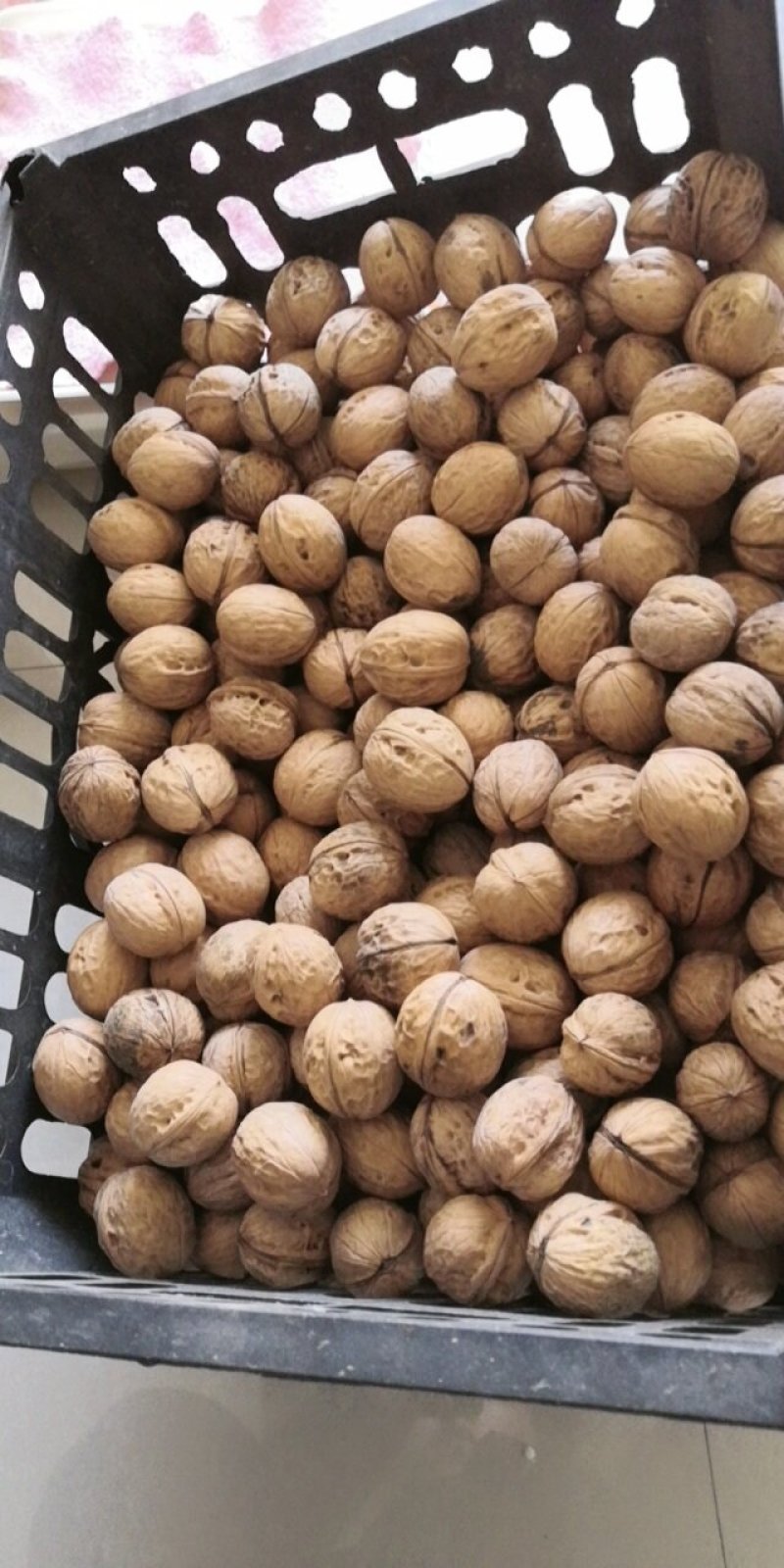 新鲜薄皮核桃坚果零食5斤/10斤大果批发