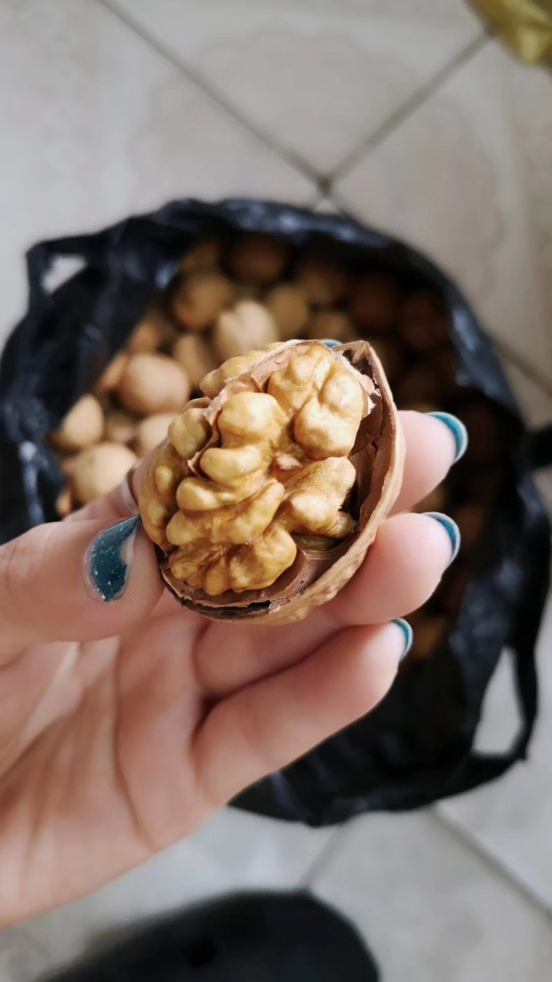 新鲜薄皮核桃坚果零食5斤/10斤大果批发