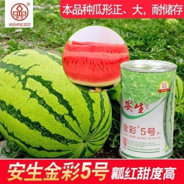 安生金彩5号西瓜种子正宗硒砂瓜种子瓤色鲜红口感甜脆皮薄