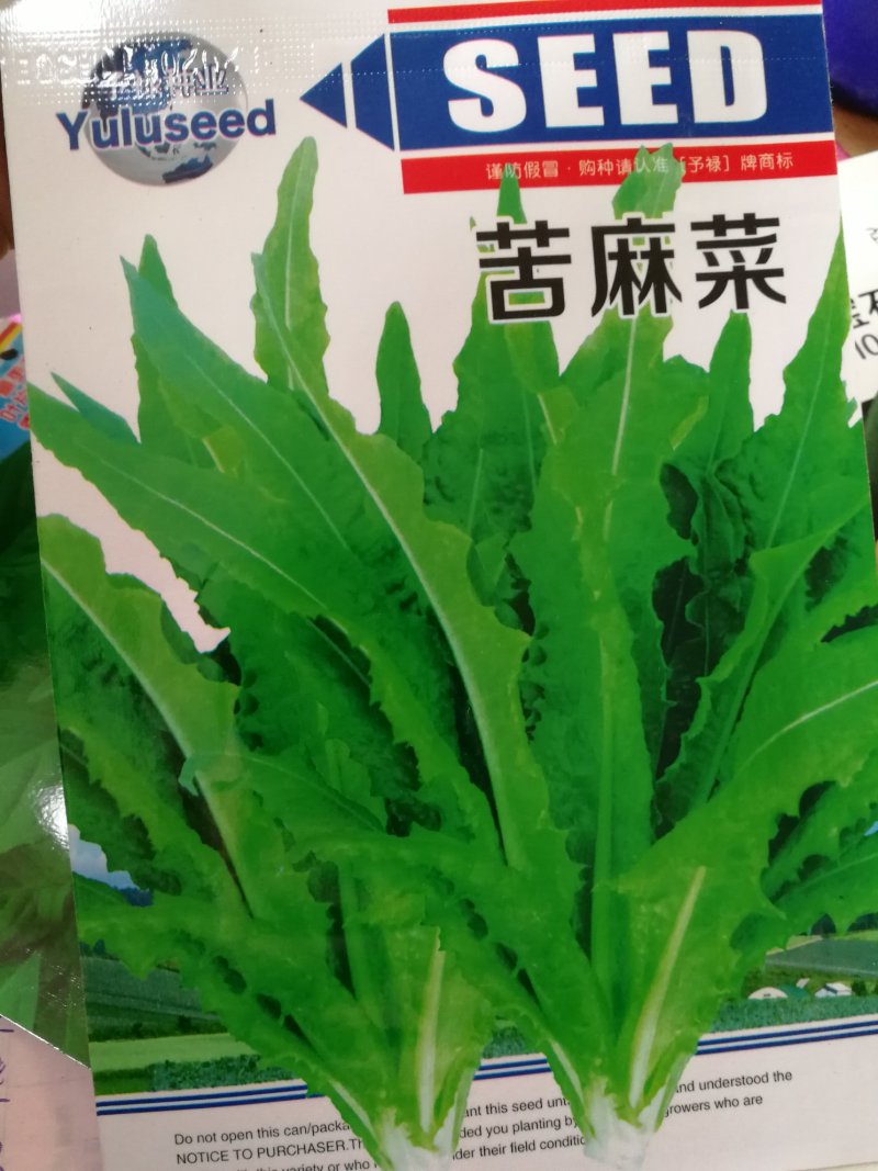 【优质】苦麻菜蔬菜种子纯度高芽率好