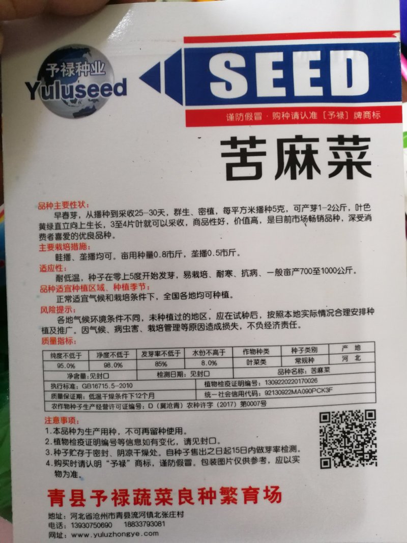 【优质】苦麻菜蔬菜种子纯度高芽率好