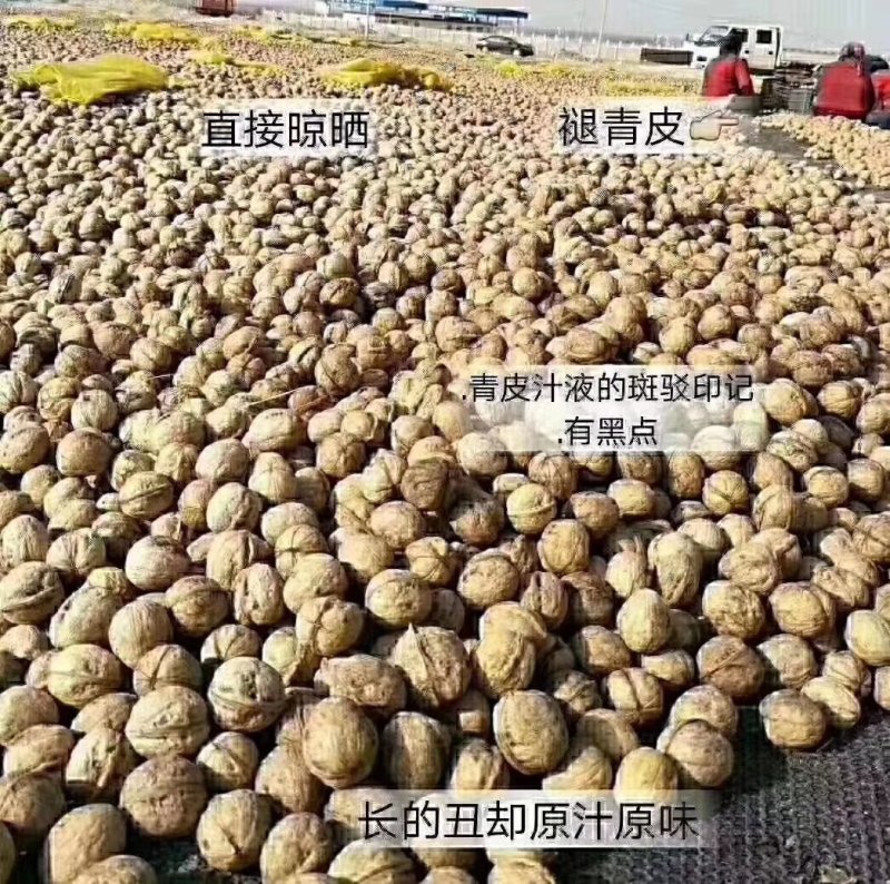 新鲜薄皮核桃坚果零食5斤/10斤大果批发