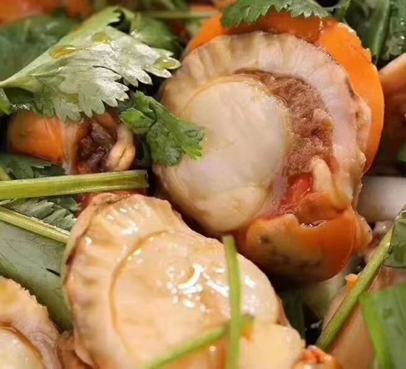 扇贝肉