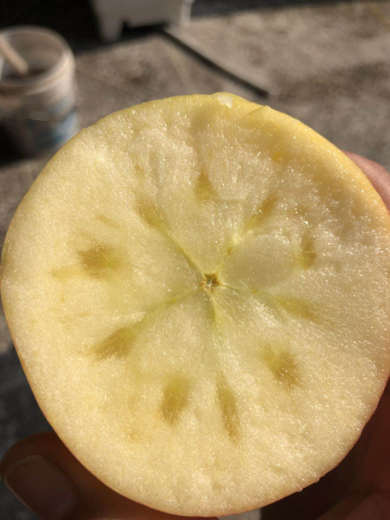山西冰糖心苹果