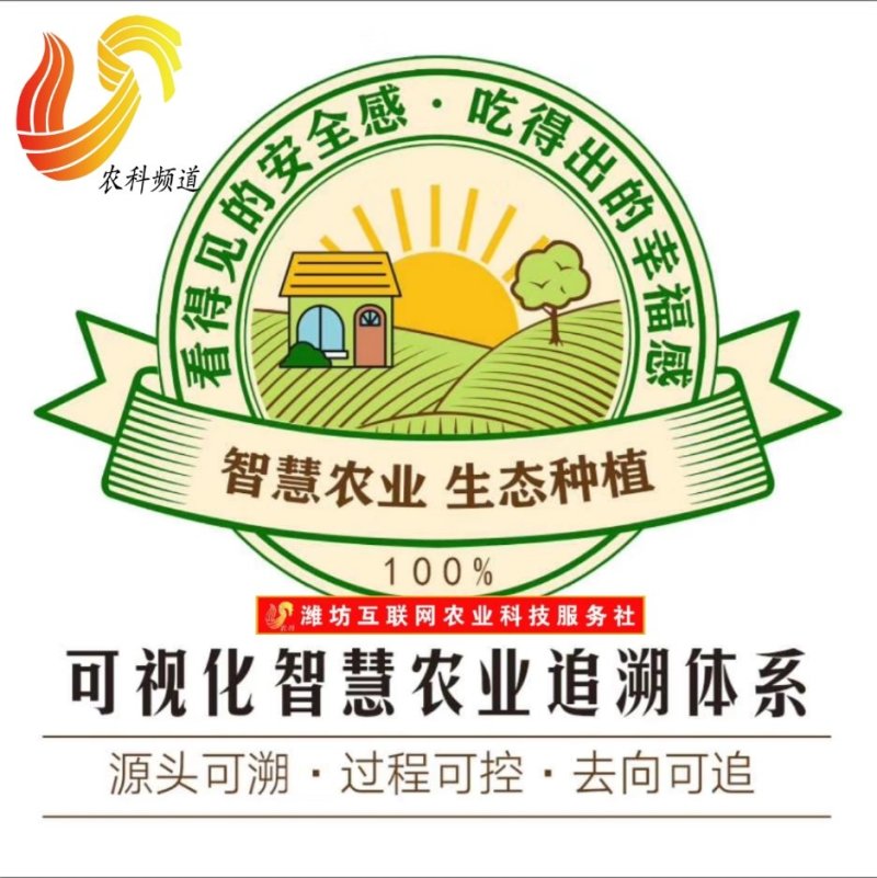 有好货纯紫薯粉紫薯品无添加《王耀农庄》