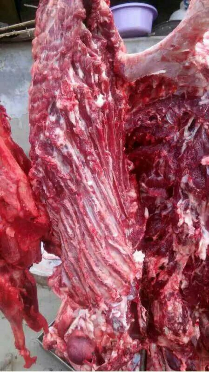 新鲜驴肉批发，供应全国露的老板联系我
