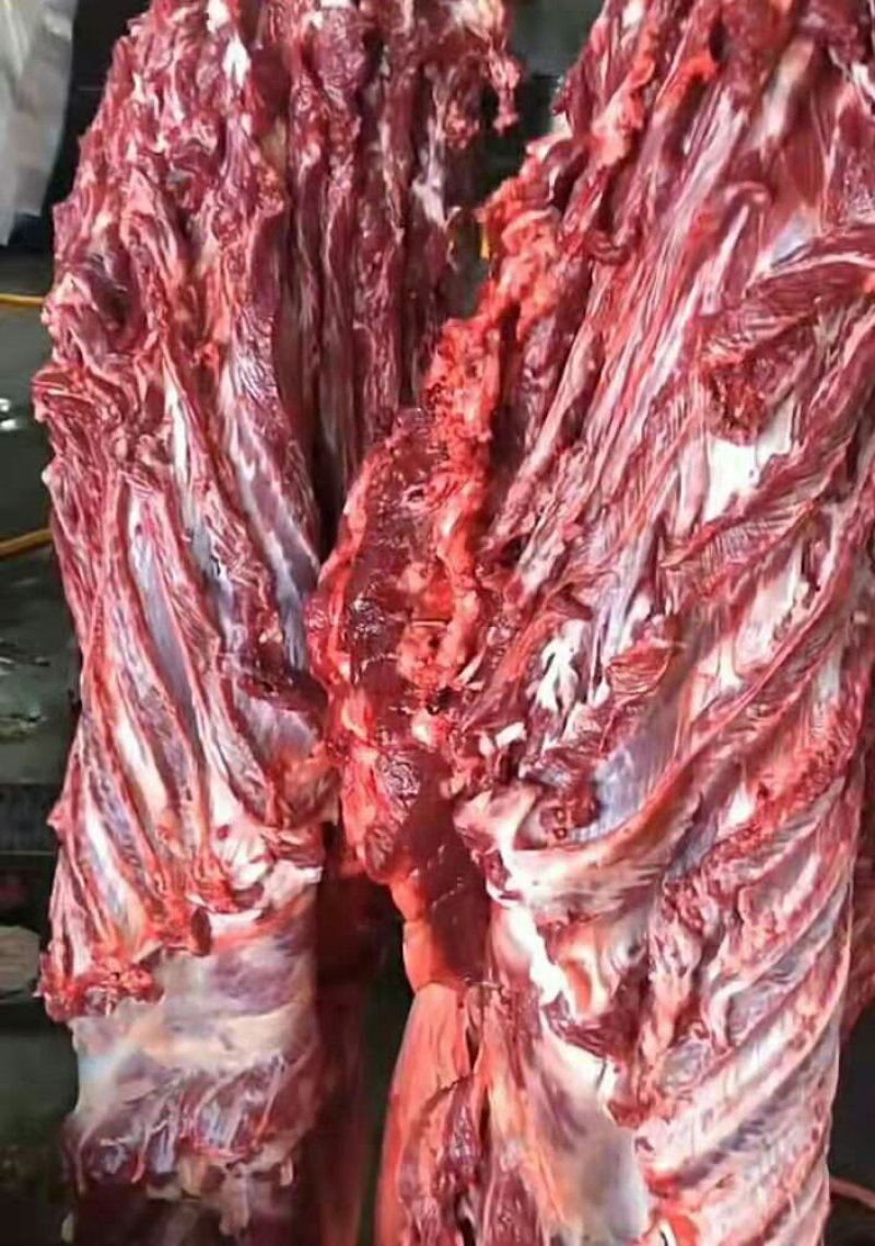 新鲜驴肉批发，供应全国露的老板联系我