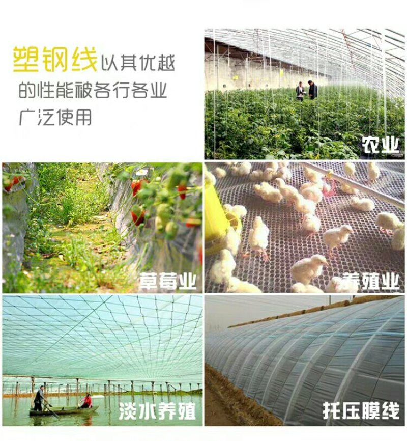 塑钢线高强度大棚线百香果火龙果葡萄罗汉果架园艺养殖拉绳专