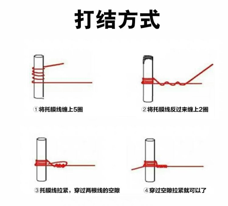 塑钢线高强度大棚线百香果火龙果葡萄罗汉果架园艺养殖拉绳专