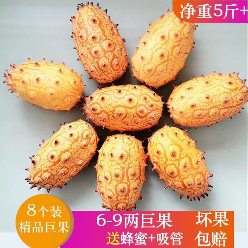 火参果新鲜精选果，支持一件代发电商批发联系