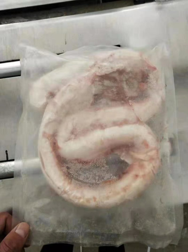 牛鞭，带根