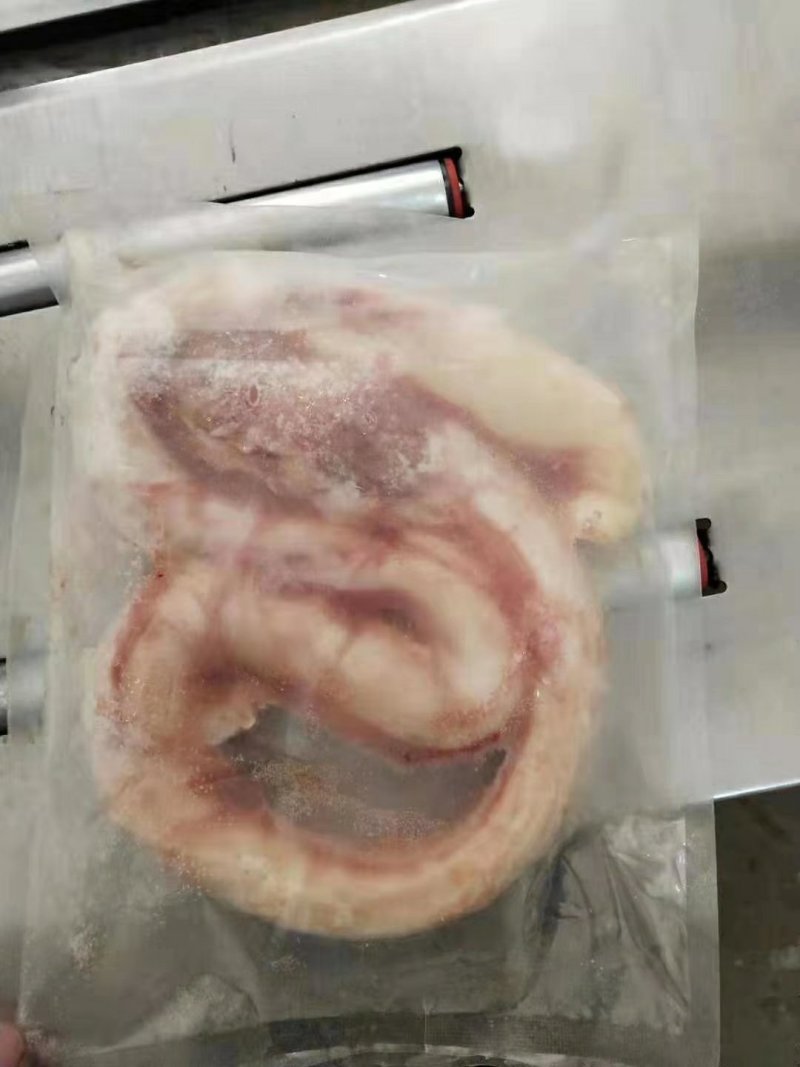 牛鞭，带根