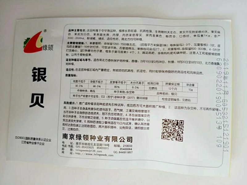 绿领银贝南瓜种子中早熟果皮灰白色果肉金黄色粉质多口感好