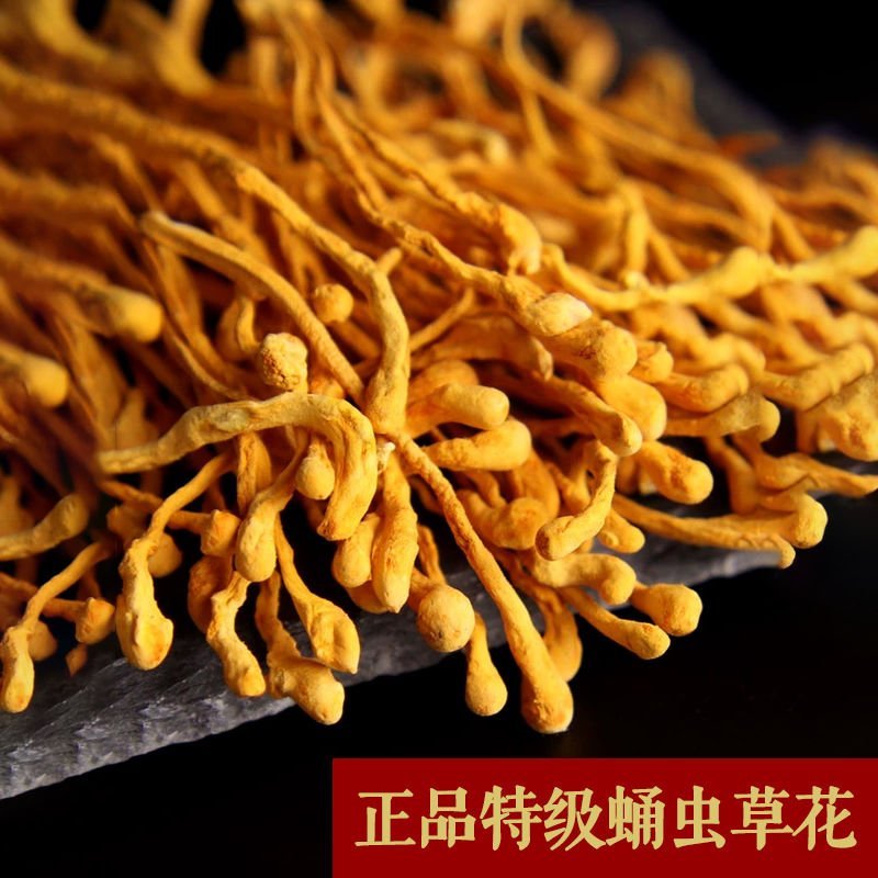 虫草花无硫虫草花干货正品规格齐全可供实体店批发零售