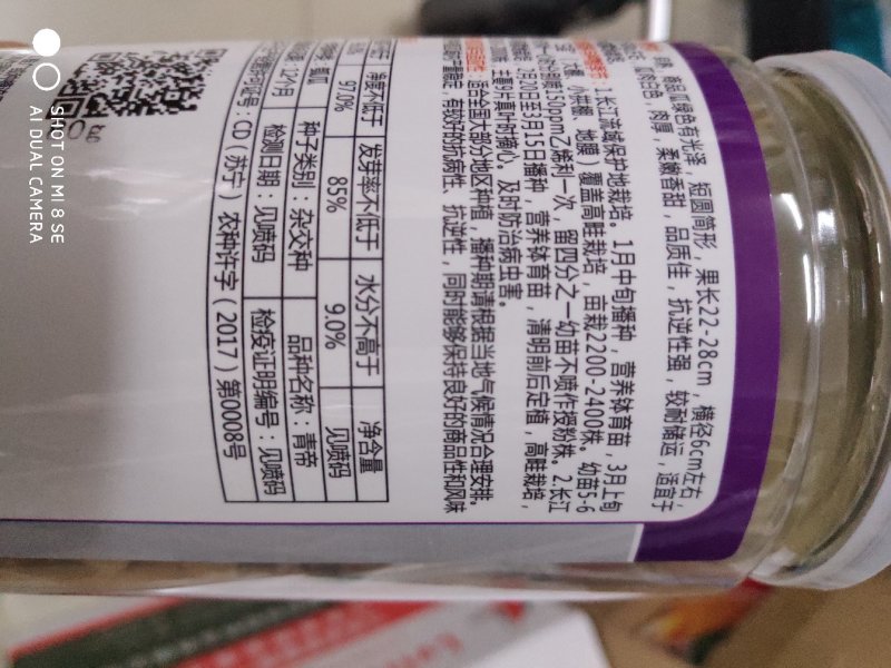 绿领青帝瓠子瓜种子早熟短圆筒形抗逆性强