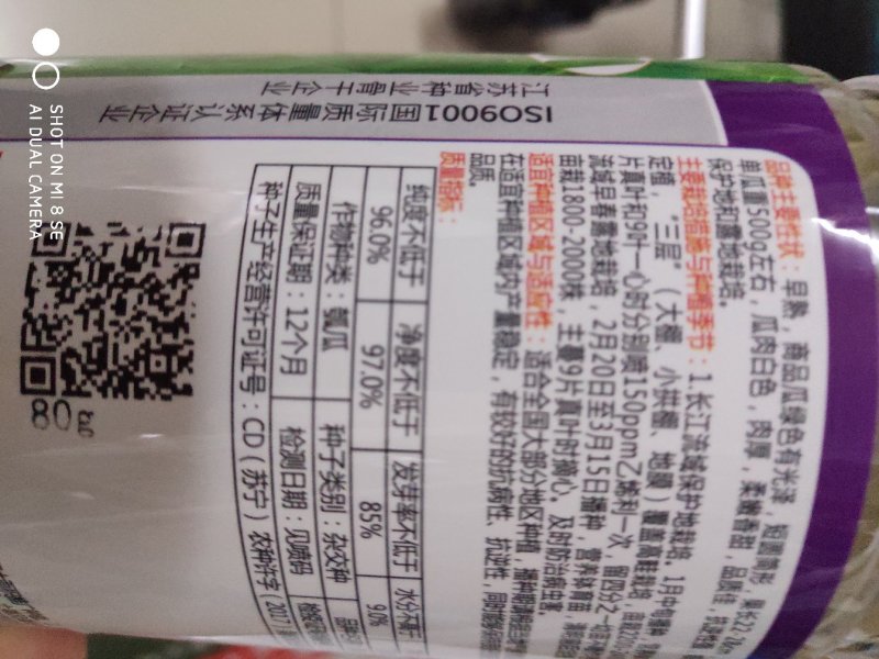 绿领青帝瓠子瓜种子早熟短圆筒形