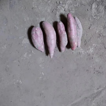西瓜红红薯