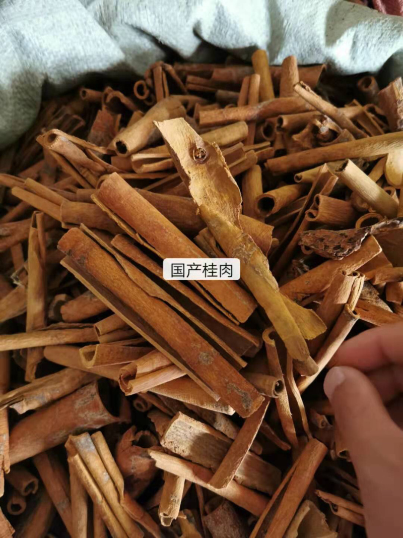 桂皮（去皮）正品无硫有各种香料供应