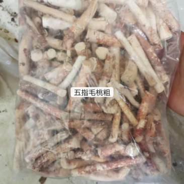 冷背药材五指毛桃正品一公斤起卖不包邮