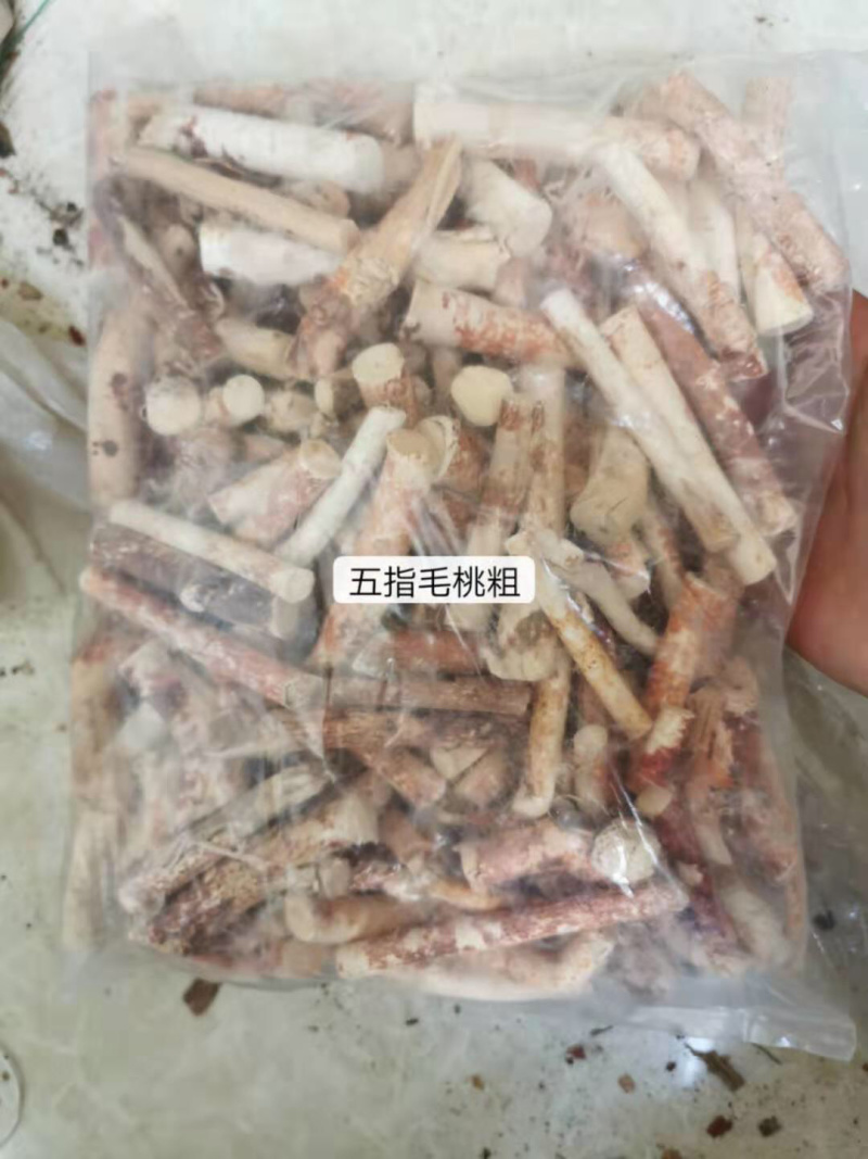 冷背药材五指毛桃正品一公斤起卖不包邮