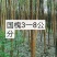 国槐苗，一年国槐苗，国槐小苗产地
