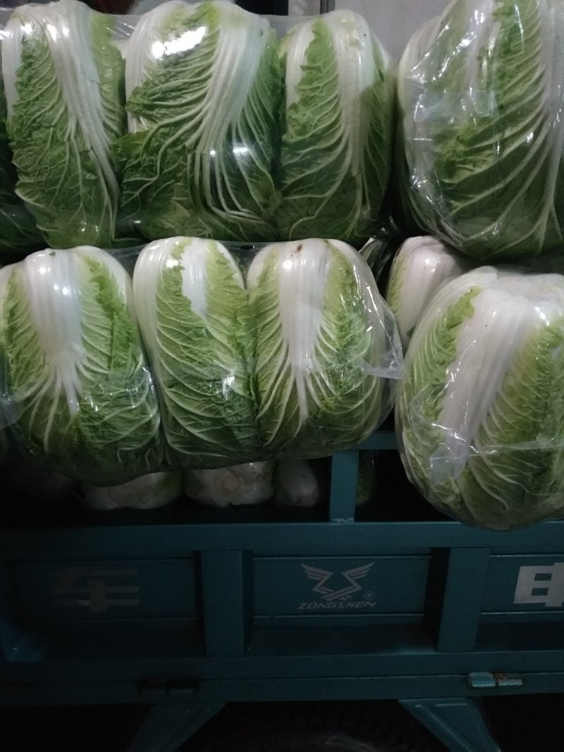 白菜黄心大白菜精品黄心大白菜对接全国量大从优