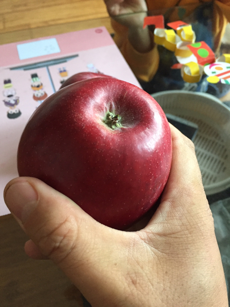 云南昭通生态丑苹果