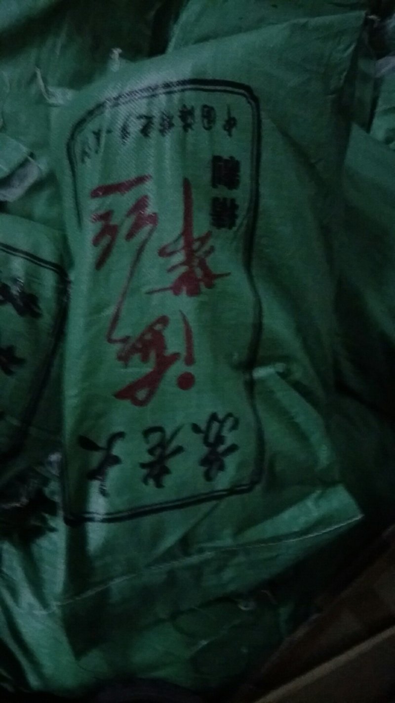 霞浦海带丝，500克50克海带丝
