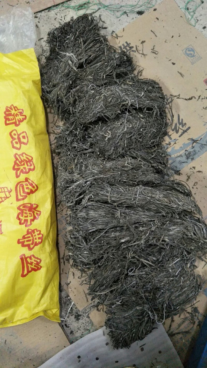 霞浦海带丝，500克50克海带丝