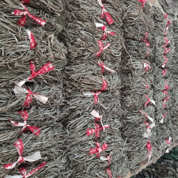 霞浦海带丝，500克50克海带丝