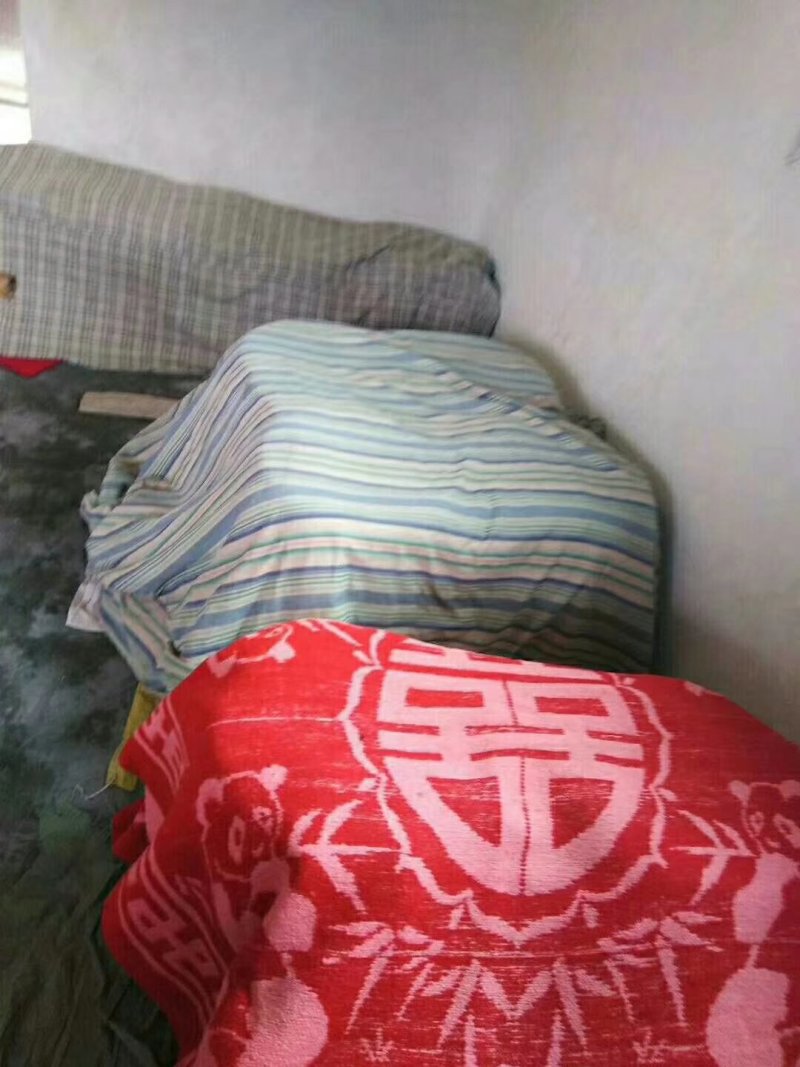 和平客家黄酒酿纯手工采用山泉水黄酒娘酒糟量大从优