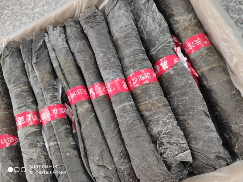 霞浦海带水产干货500克青色无土巴海带卷