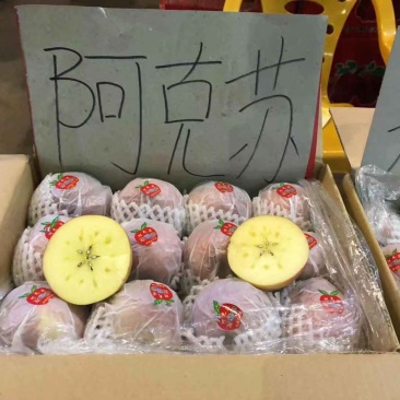 阿克苏冰糖心苹果红旗坡光果