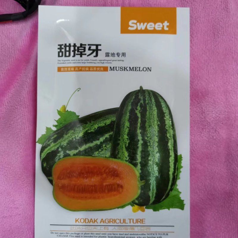 红到边花皮甜瓜种子香甜可口博洋甜瓜种子