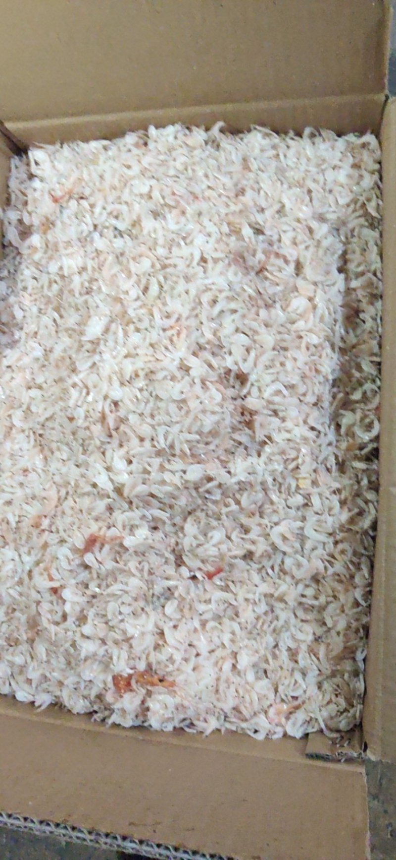 水产干货500克散装虾皮