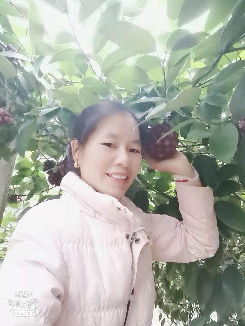 布福娜