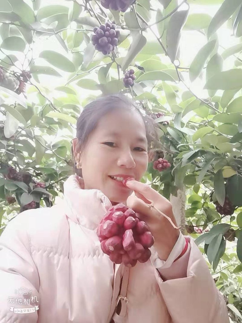 布福娜