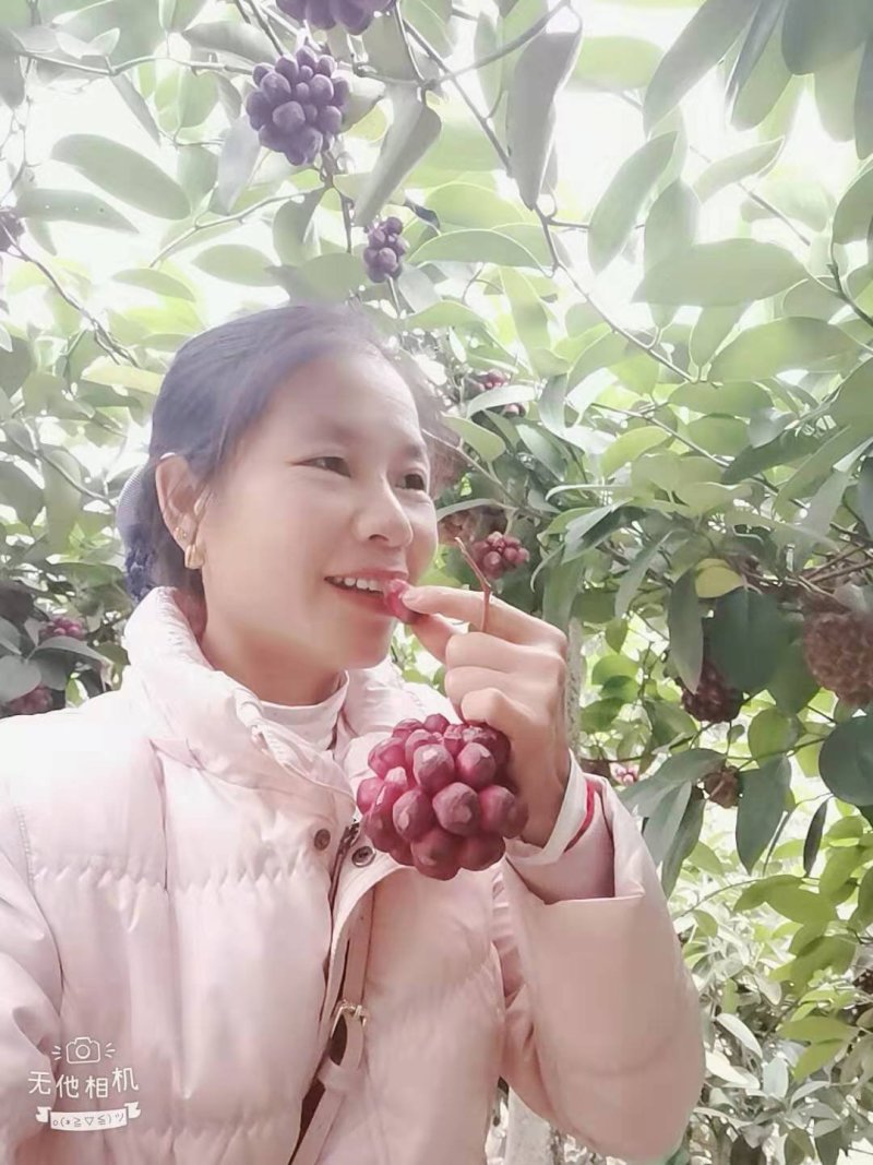 布福娜