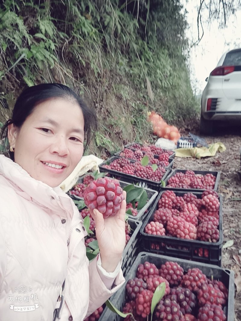 布福娜