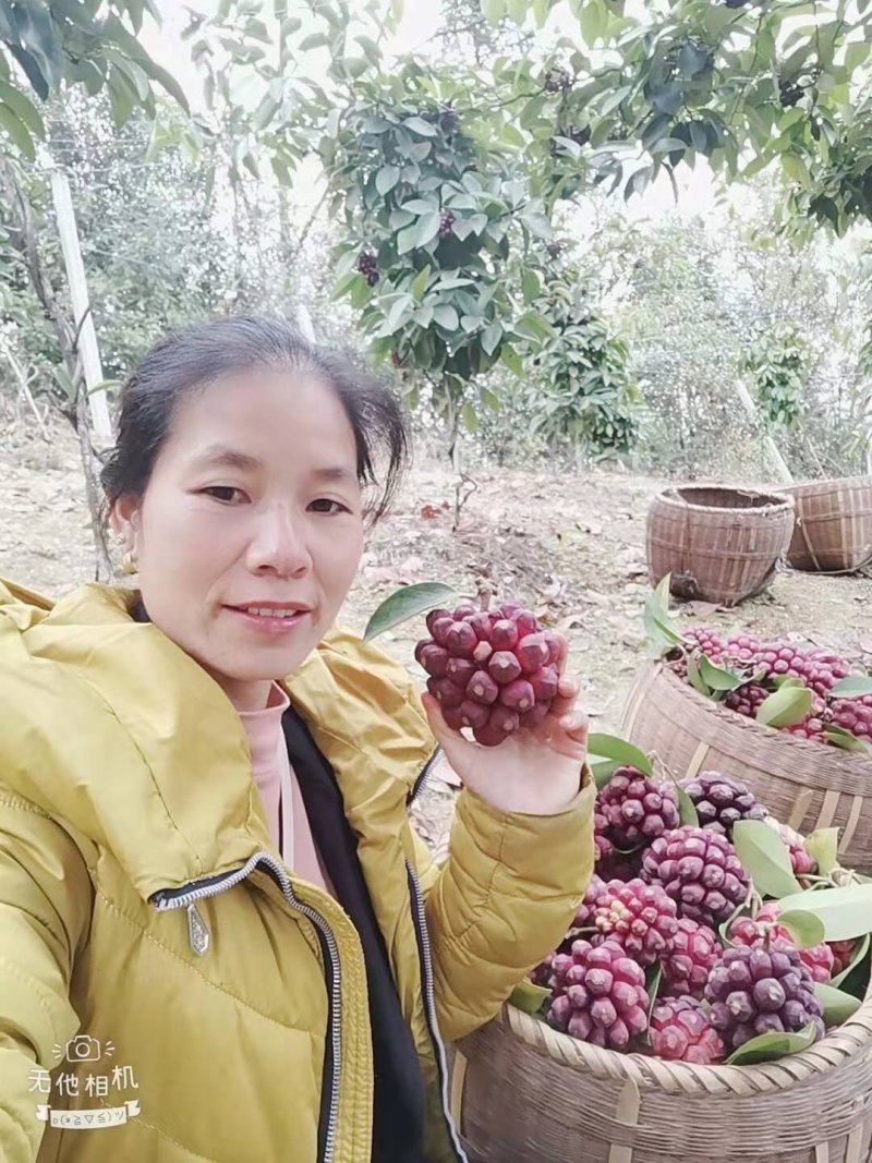 布福娜