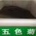 五色菊种子原产澳大利亚性喜温暖向阳多色混合易