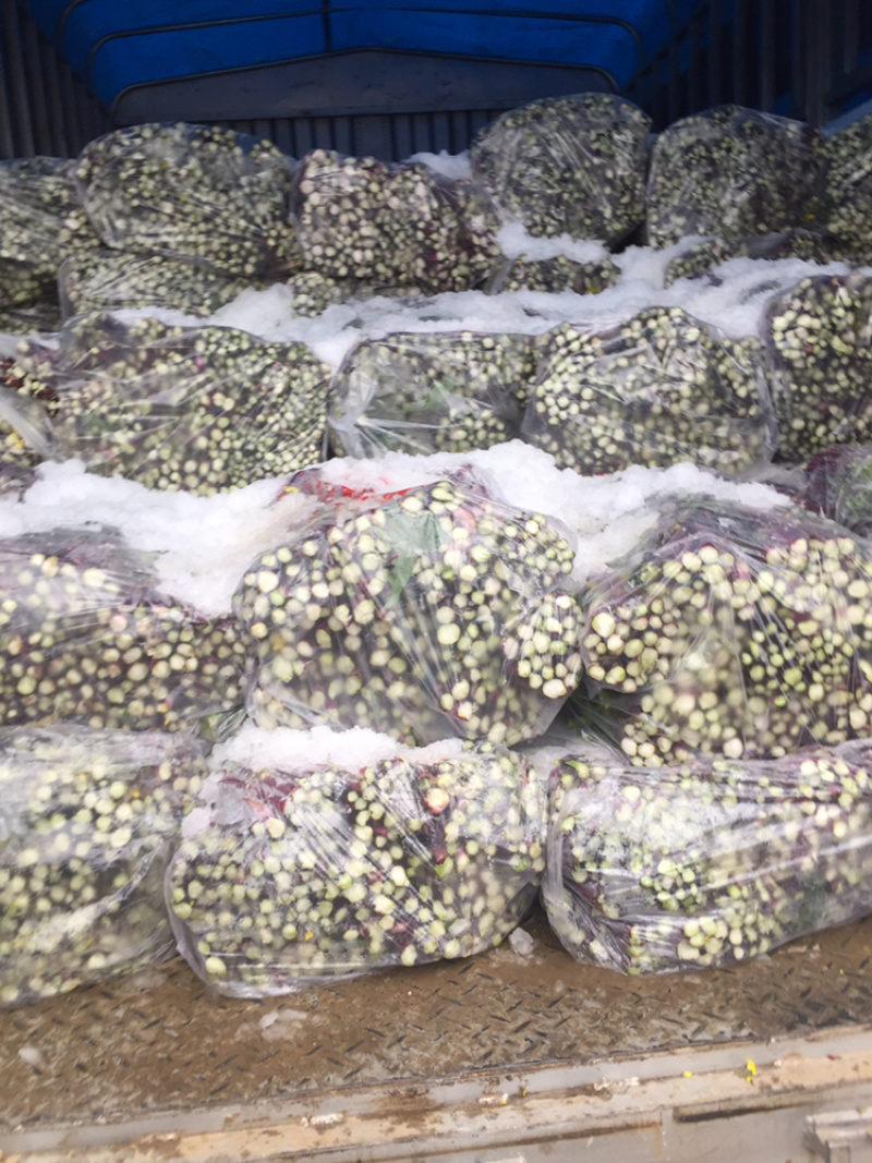 红菜苔大量上市。